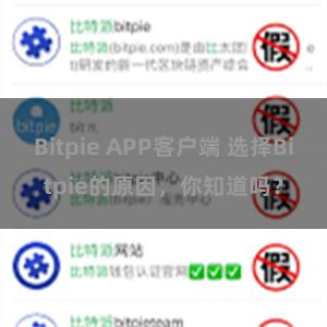 Bitpie APP客户端 选择Bitpie的原因，你知道吗？