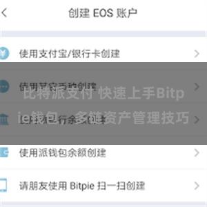 比特派支付 快速上手Bitpie钱包，多链资产管理技巧