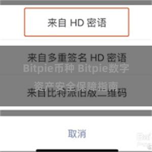 Bitpie币种 Bitpie数字资产安全保障指南