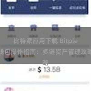 比特派应用下载 Bitpie钱包操作指南：多链资产管理攻略