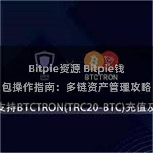 Bitpie资源 Bitpie钱包操作指南：多链资产管理攻略