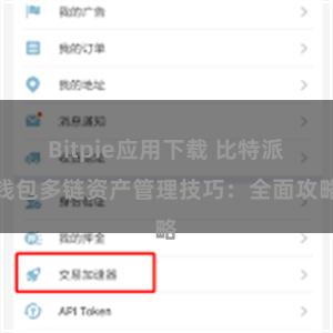 Bitpie应用下载 比特派钱包多链资产管理技巧：全面攻略