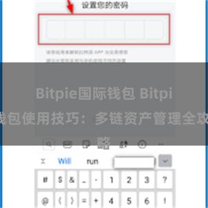 Bitpie国际钱包 Bitpie钱包使用技巧：多链资产管理全攻略