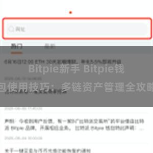 Bitpie新手 Bitpie钱包使用技巧：多链资产管理全攻略