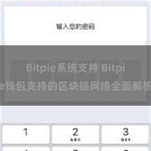 Bitpie系统支持 Bitpie钱包支持的区块链网络全面解析