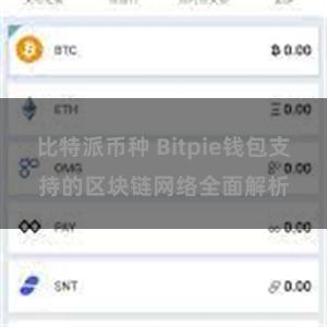 比特派币种 Bitpie钱包支持的区块链网络全面解析