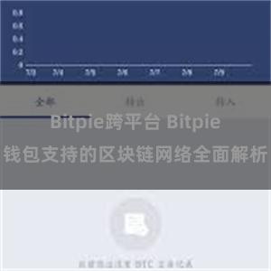 Bitpie跨平台 Bitpie钱包支持的区块链网络全面解析