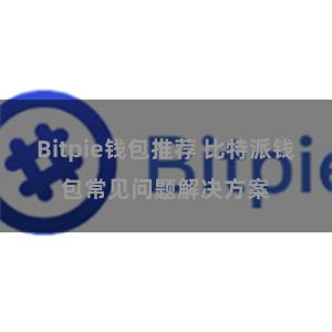 Bitpie钱包推荐 比特派钱包常见问题解决方案