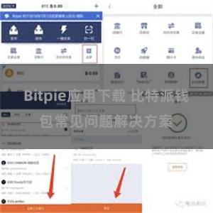 Bitpie应用下载 比特派钱包常见问题解决方案