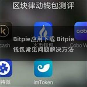 Bitpie应用下载 Bitpie钱包常见问题解决方法