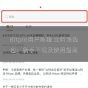 Bitpie用户教程 比特派钱包：新手下载及使用指南