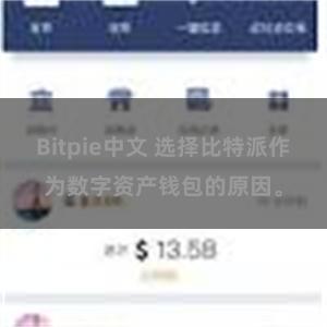 Bitpie中文 选择比特派作为数字资产钱包的原因。