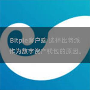 Bitpie客户端 选择比特派作为数字资产钱包的原因。