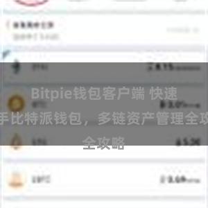 Bitpie钱包客户端 快速上手比特派钱包，多链资产管理全攻略