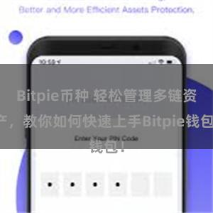 Bitpie币种 轻松管理多链资产，教你如何快速上手Bitpie钱包！