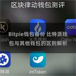 Bitpie钱包备份 比特派钱包与其他钱包的区别解析