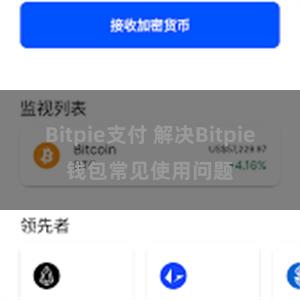 Bitpie支付 解决Bitpie钱包常见使用问题