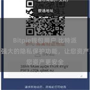 Bitpie钱包用户 比特派钱包：强大的隐私保护功能，让您资产更安全