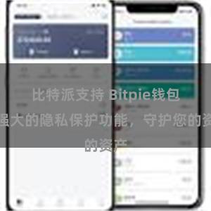 比特派支持 Bitpie钱包：强大的隐私保护功能，守护您的资产