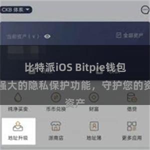 比特派iOS Bitpie钱包：强大的隐私保护功能，守护您的资产