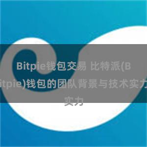 Bitpie钱包交易 比特派(Bitpie)钱包的团队背景与技术实力