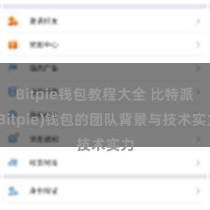 Bitpie钱包教程大全 比特派(Bitpie)钱包的团队背景与技术实力