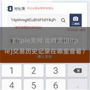 Bitpie支付 比特派(Bitpie)交易历史记录在哪里查看？