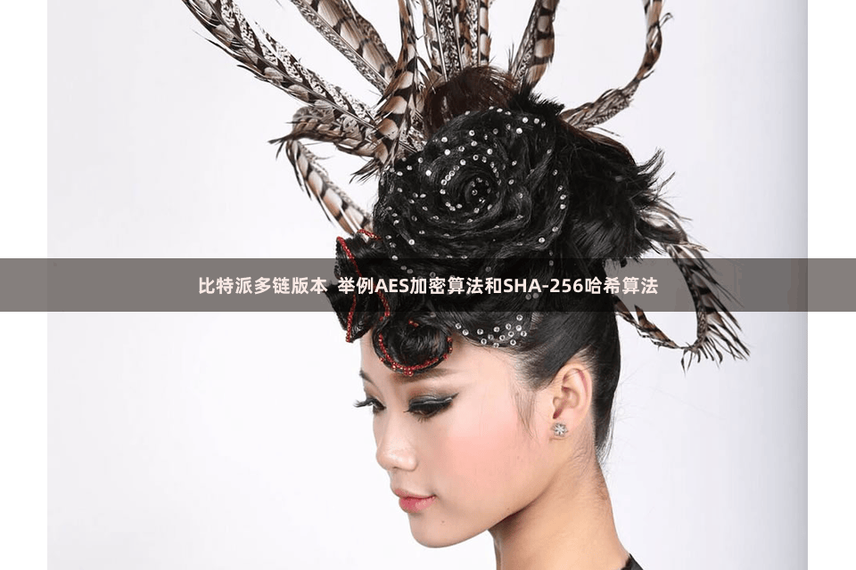 比特派多链版本  举例AES加密算法和SHA-256哈希算法
