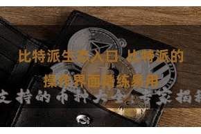 比特派生态入口  比特派的操作界面精练易用