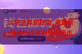 比特派私钥钱包  笔据教导进行注册和登录操作
