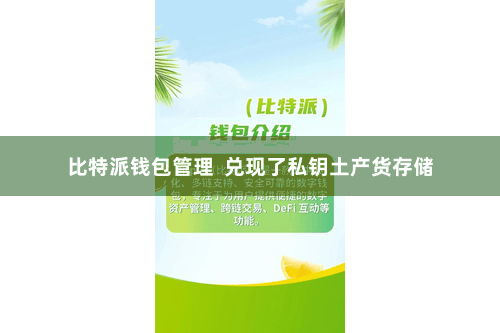 比特派钱包管理 兑现了私钥土产货存储