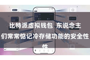比特派虚拟钱包  东说念主们常常惦记冷存储功能的安全性